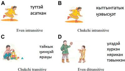 Complexity and Simplification in Language Shift